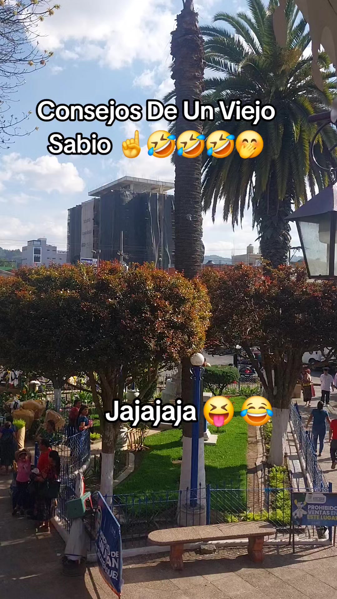 @🐈&zwj;⬛Gaby 🐈&zwj;⬛