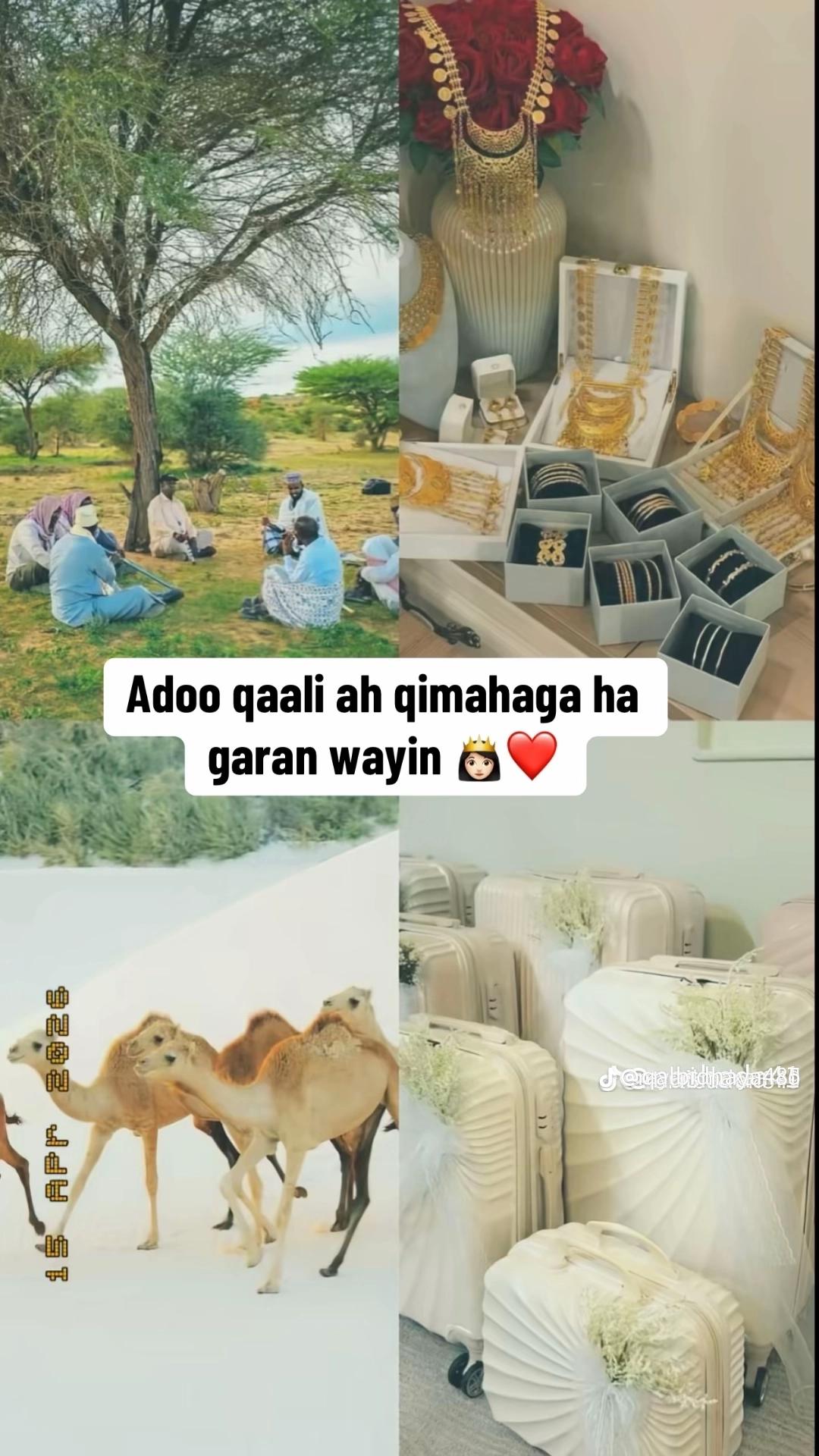 @Drs 👩‍🍳idil🌸🦋