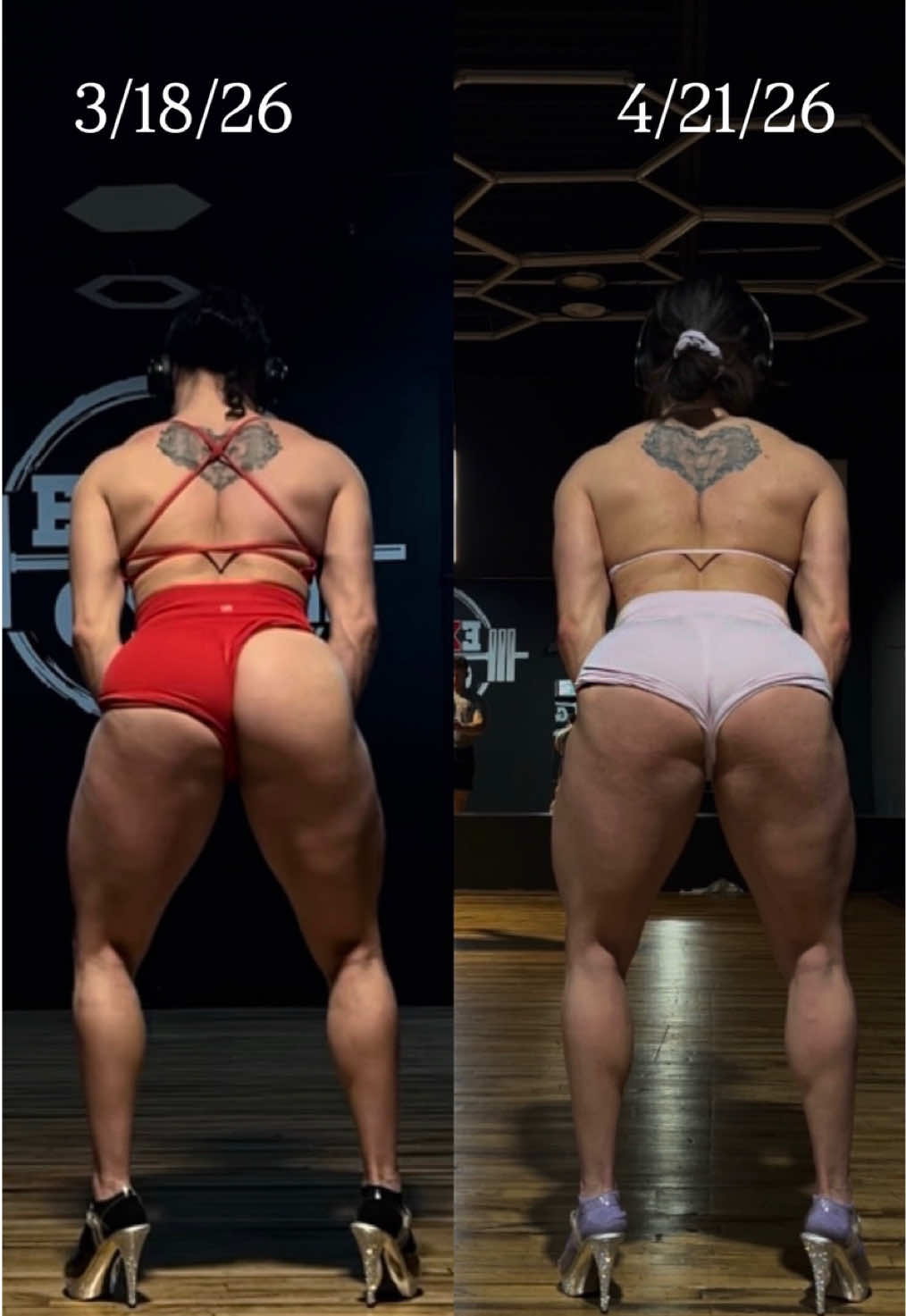 @aferalgymrat
