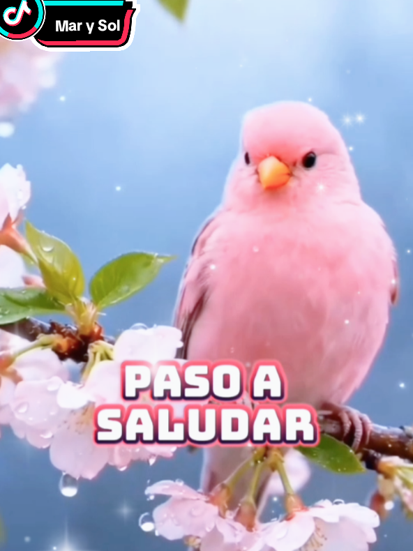 @Mar y Sol