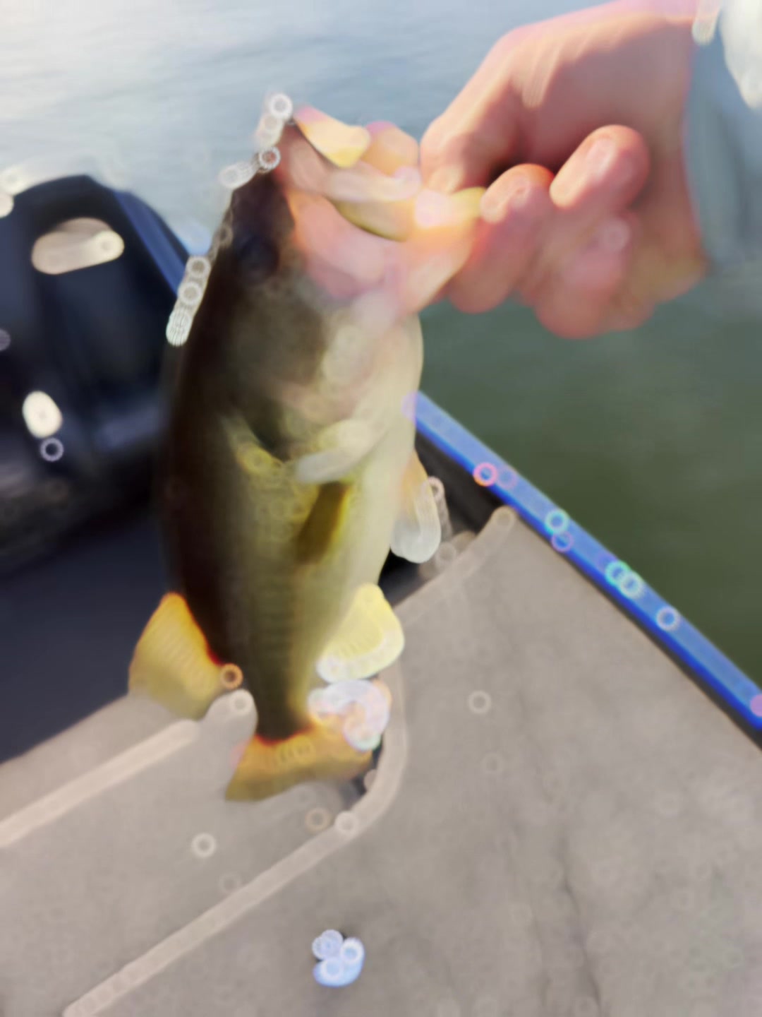 @WiCo Fishing products