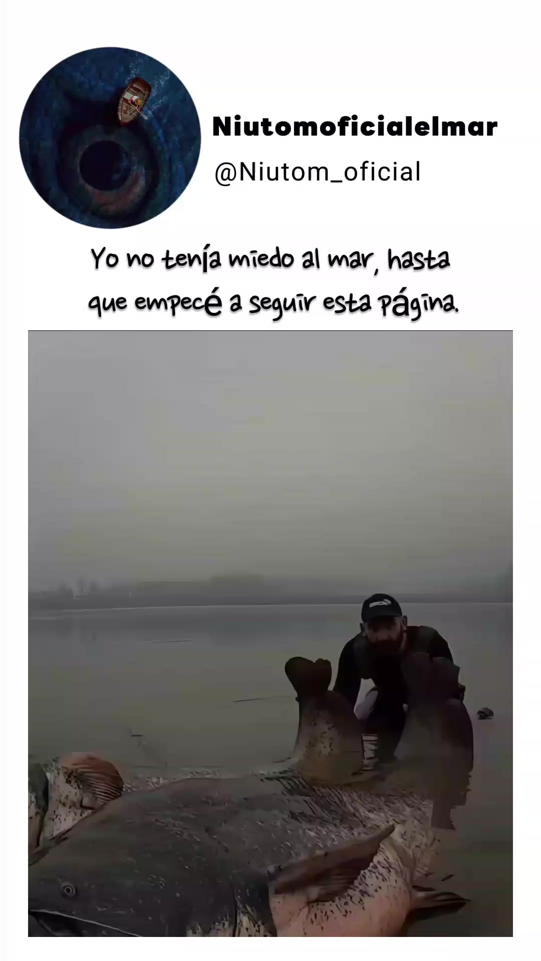 @🌊️niutom oficial el mar 🌊