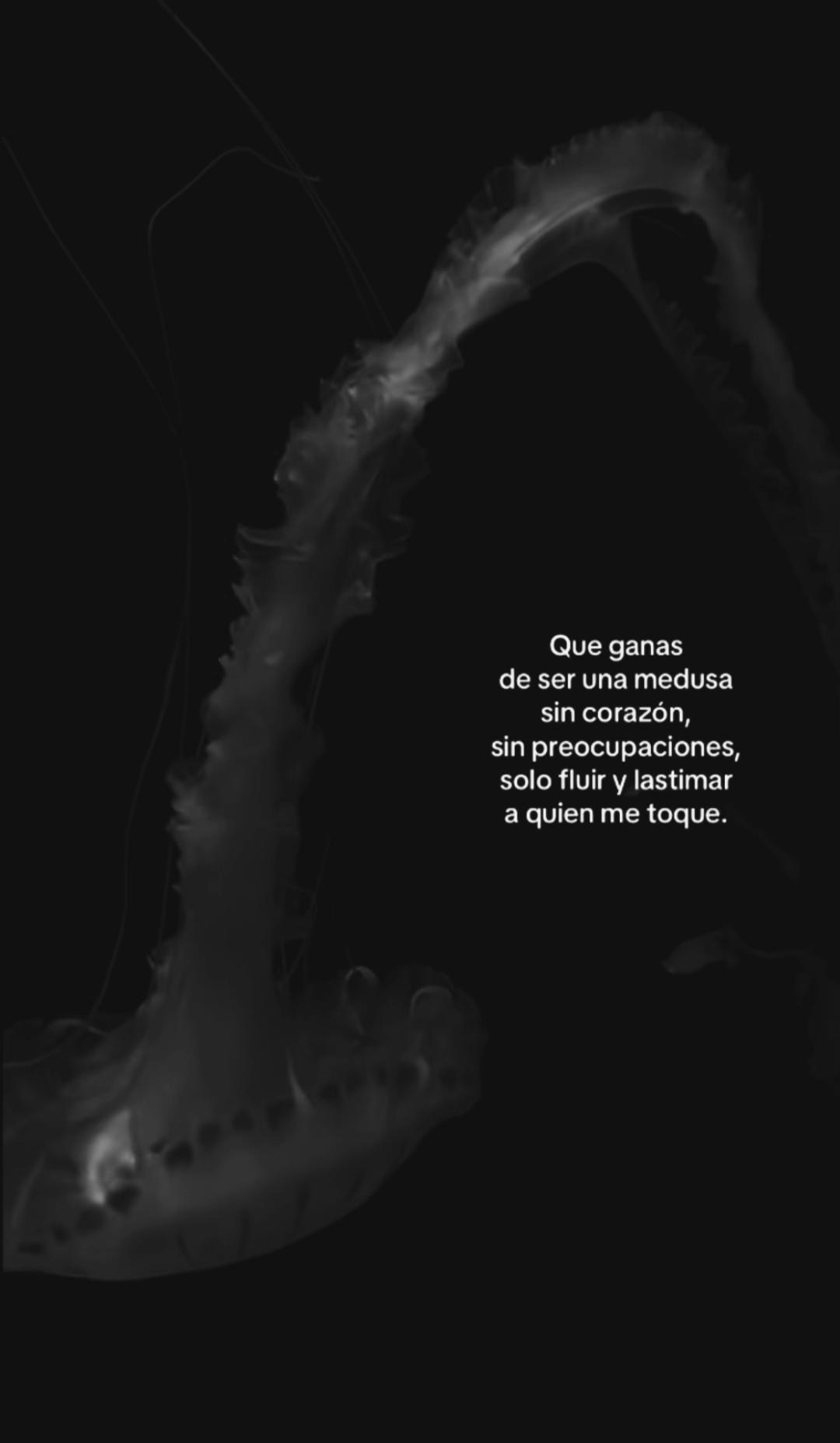 @rocio.5732