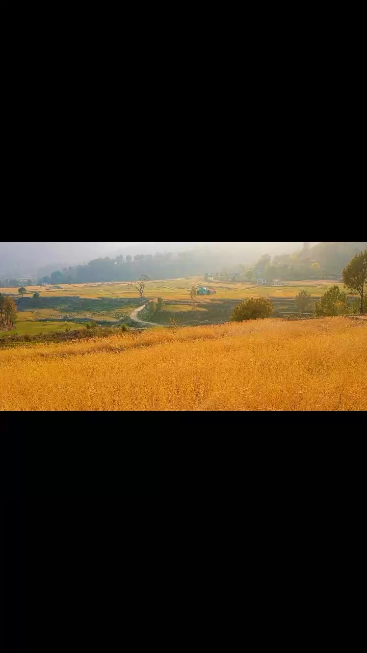 @ram bdr