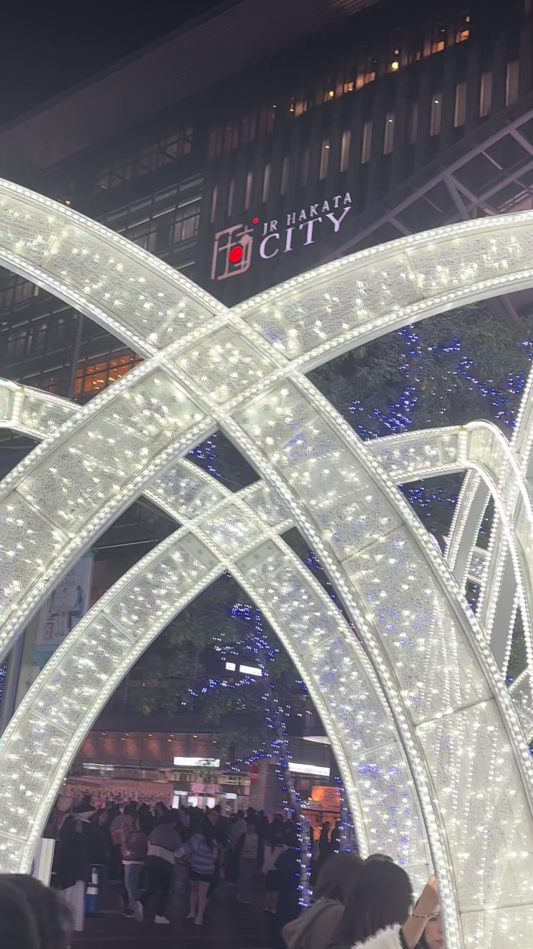 @ヤ、ヤンマジェ⁉️