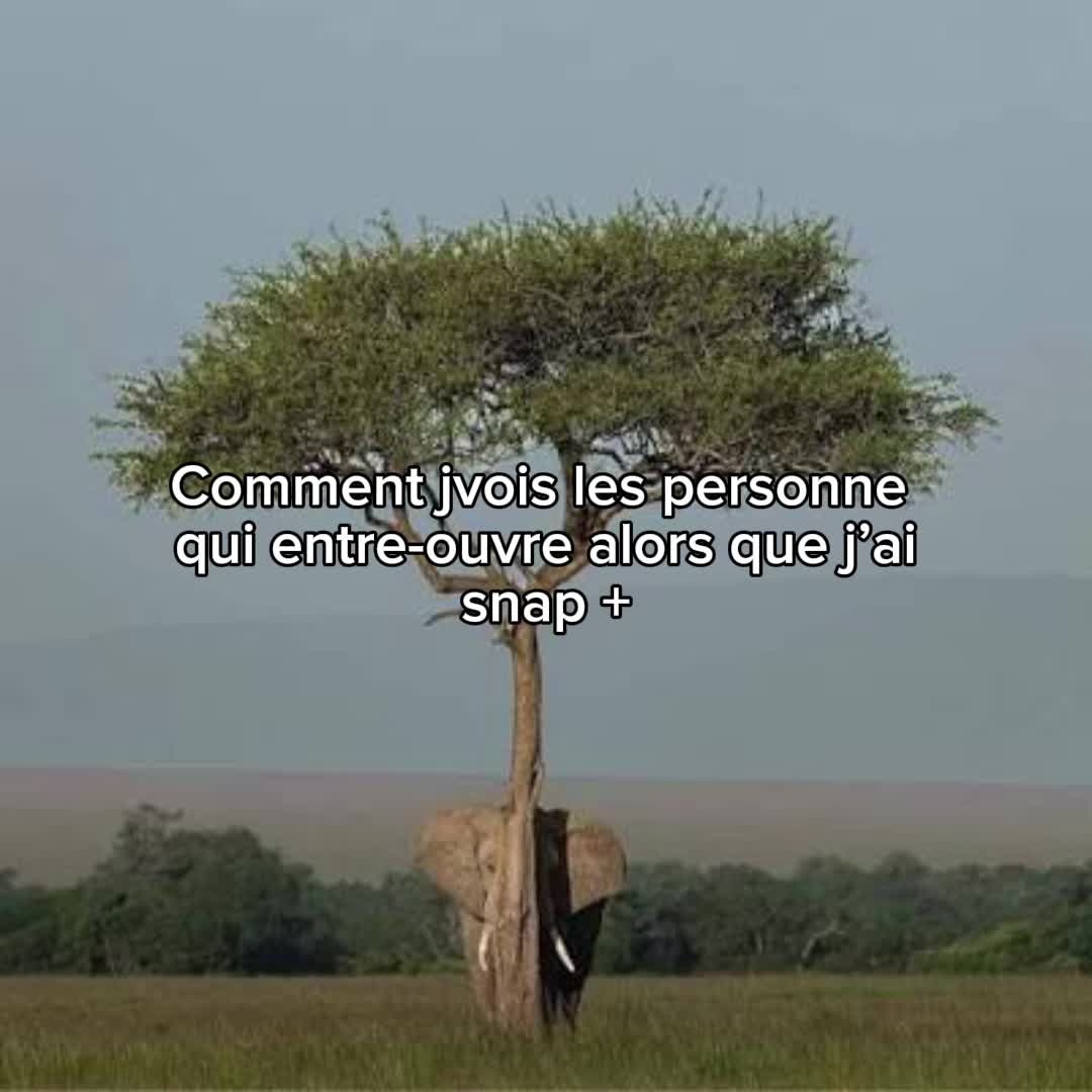 @B&eacute;b&eacute; M&eacute;chant