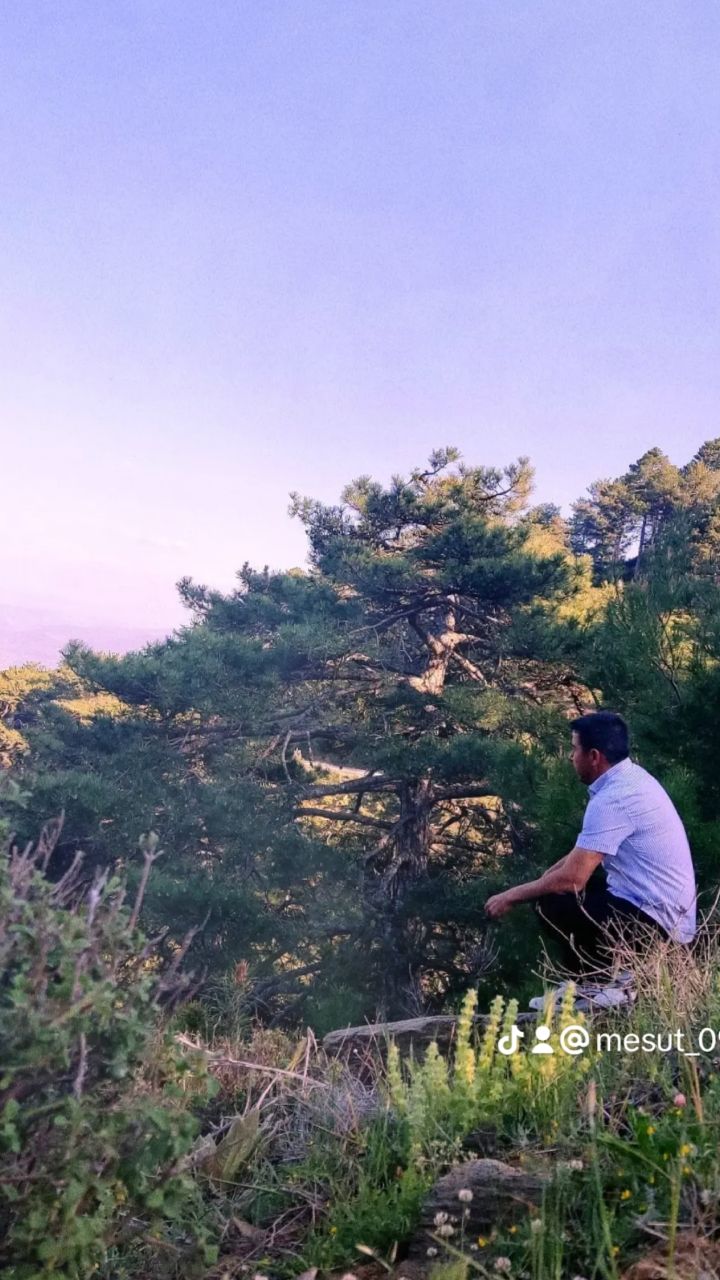 @🌼😎mesut😎🌼