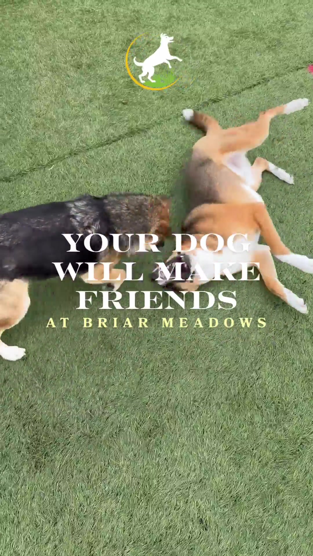 @briar.meadows