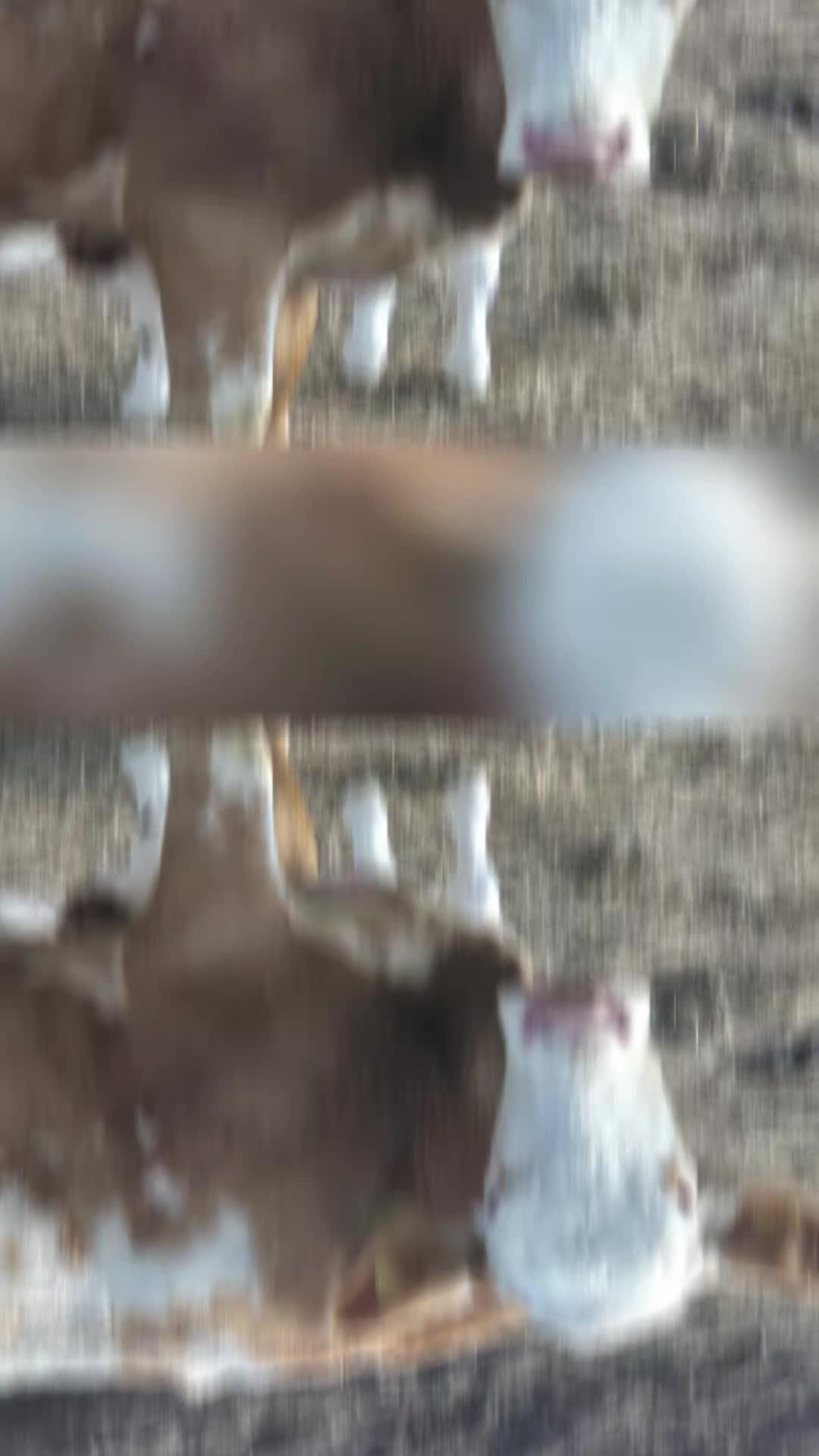 @Oli