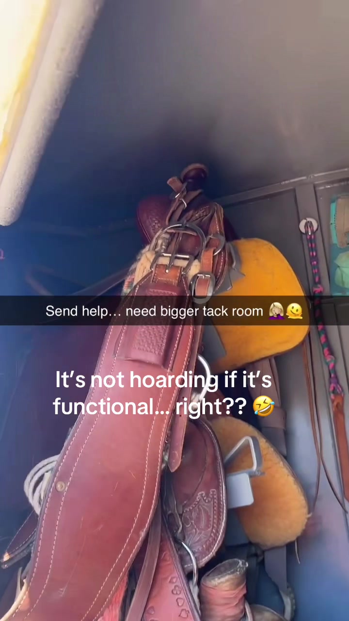 @Steph | PlanCHorsemanship