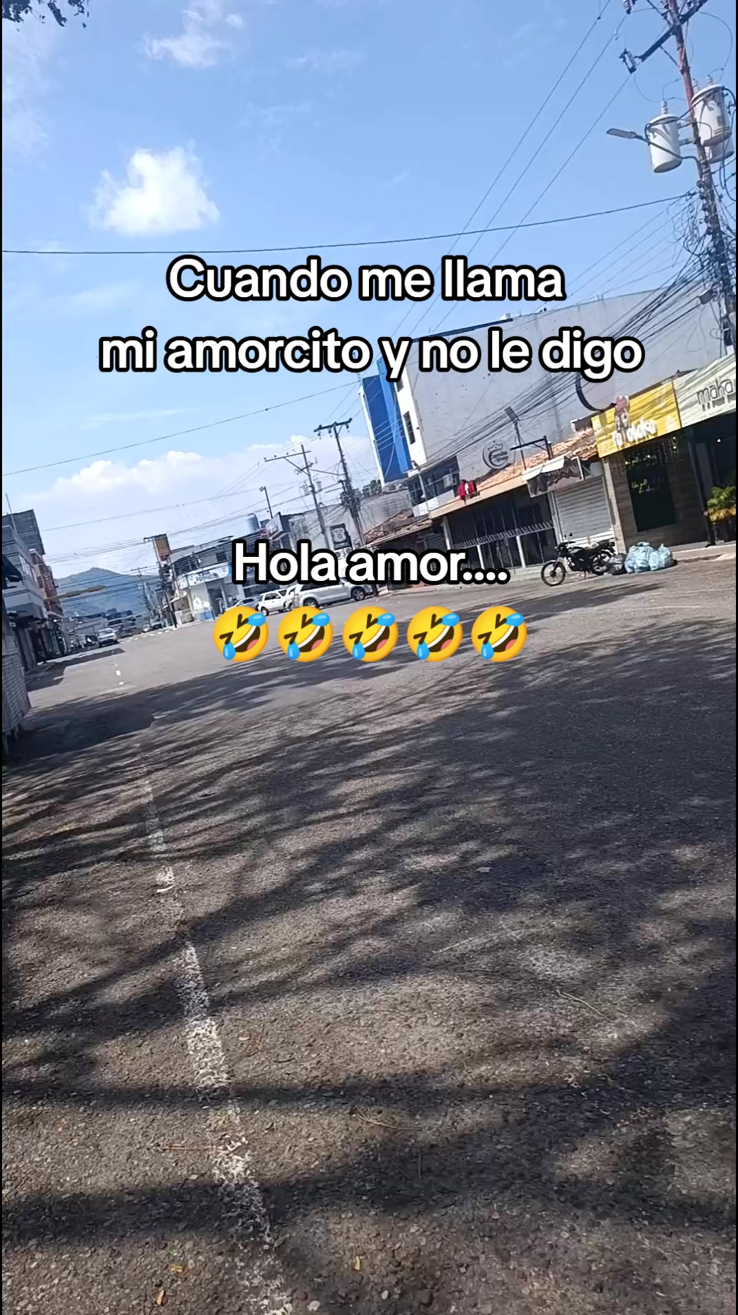 @Viviana Zambrano