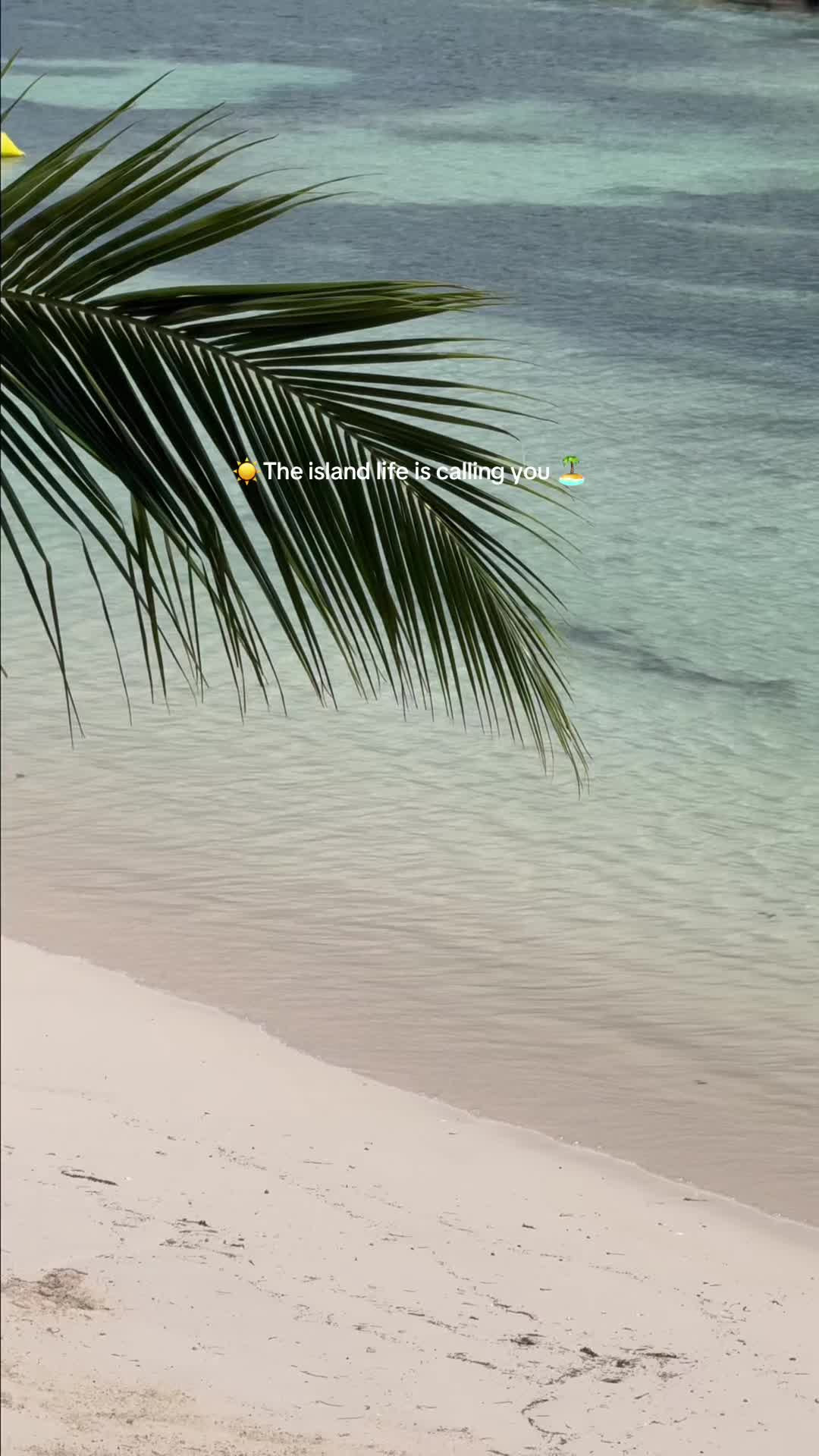 @ClubMed