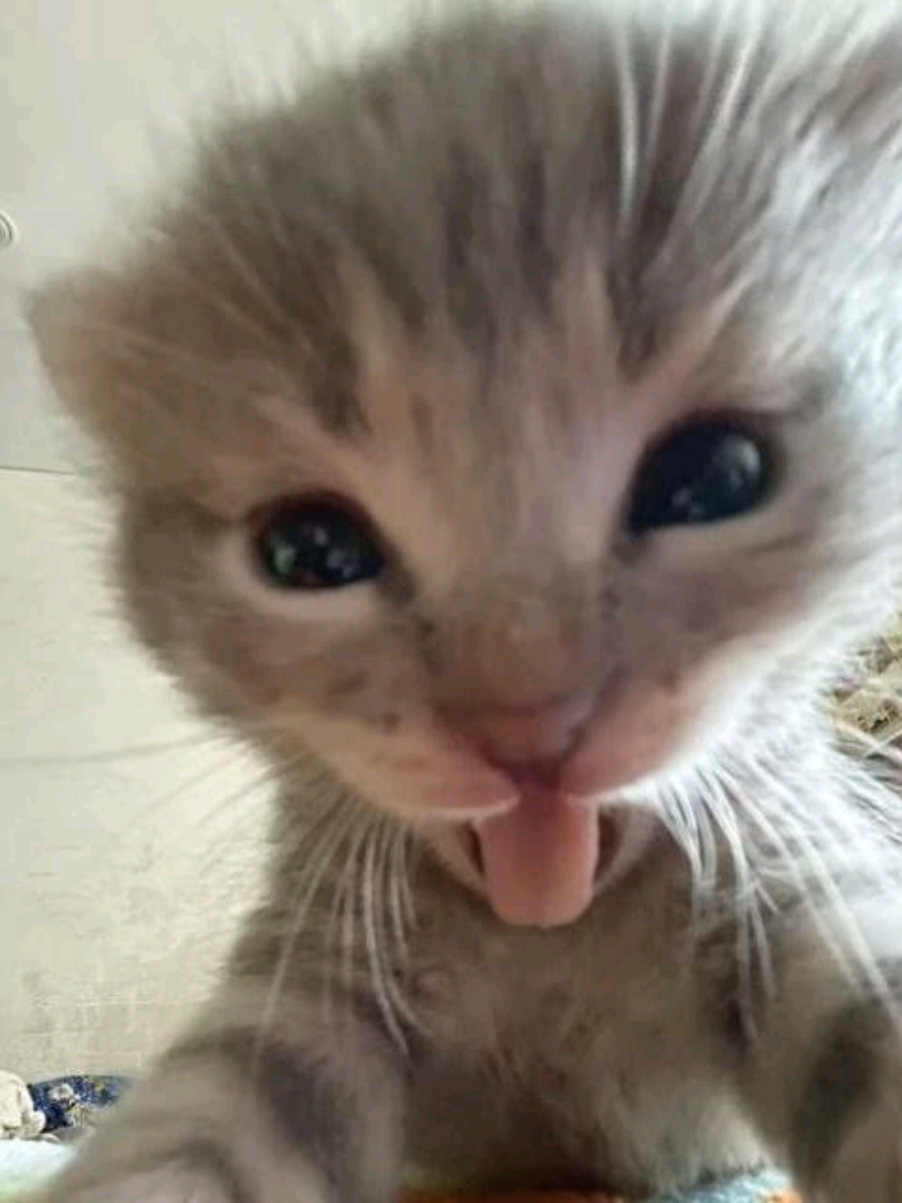 @.・✫・゜・。.