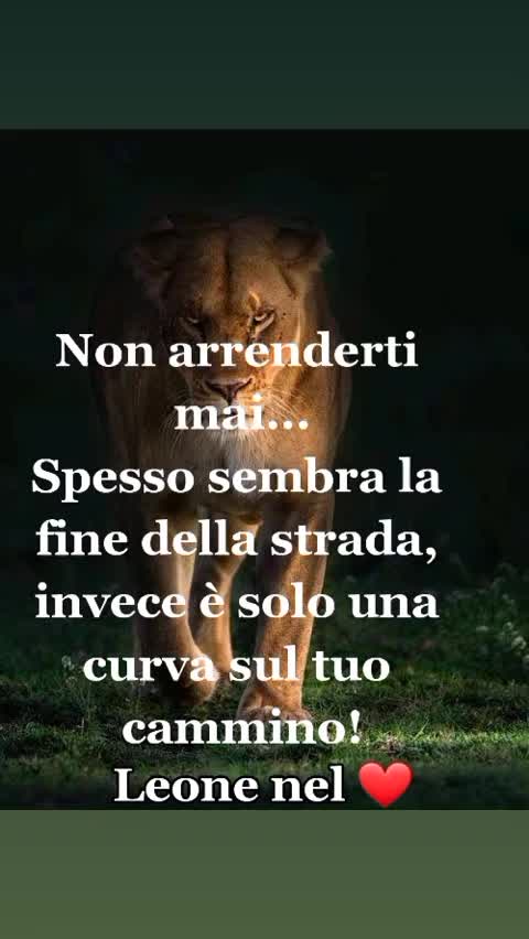 @leone nel ❤