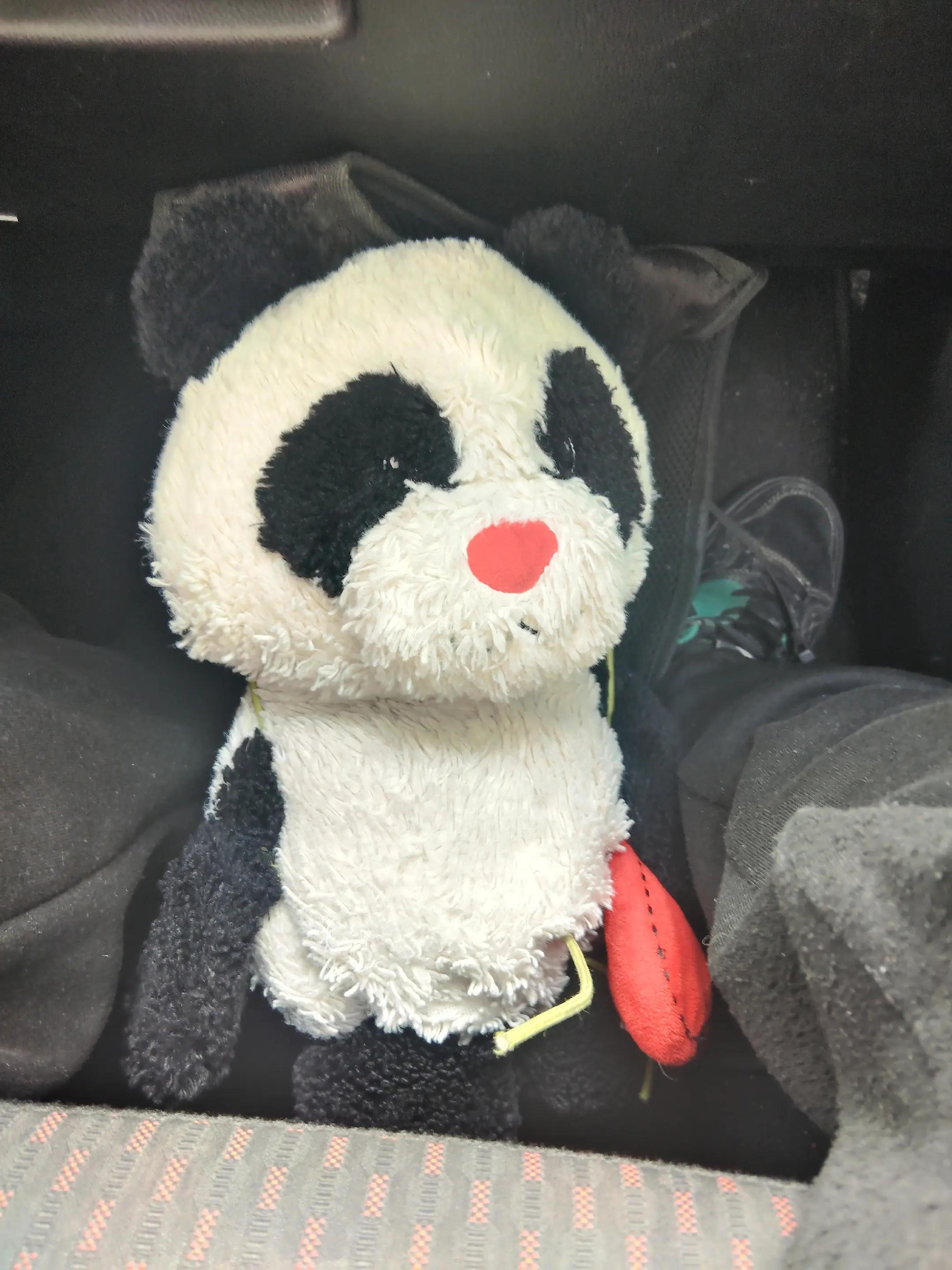 @QGibson 🐼🌈🎵💙 🦄 🧩 🧷 🐷
