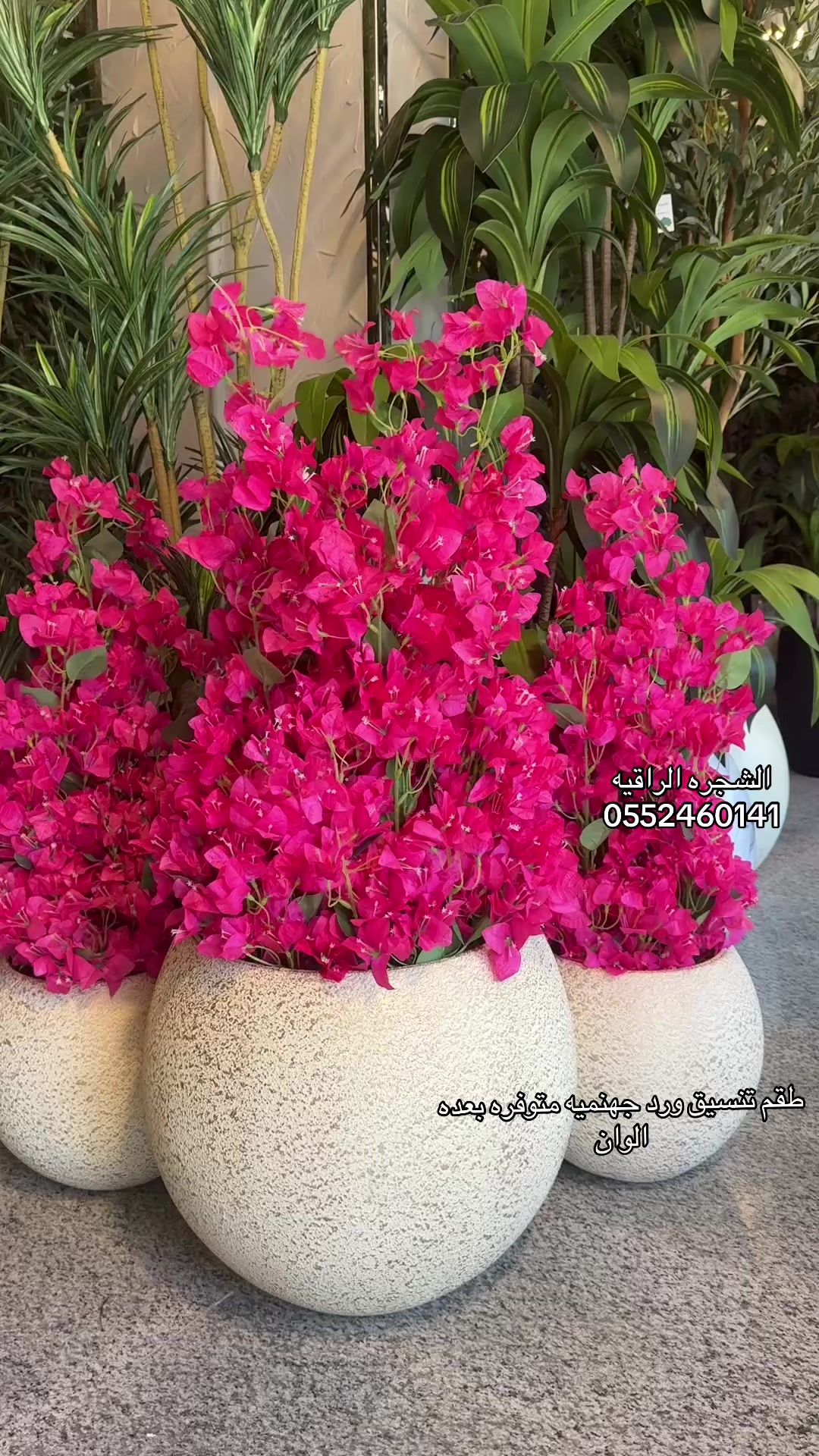 @الشجره الراقيه(زهور المملكه)🌴