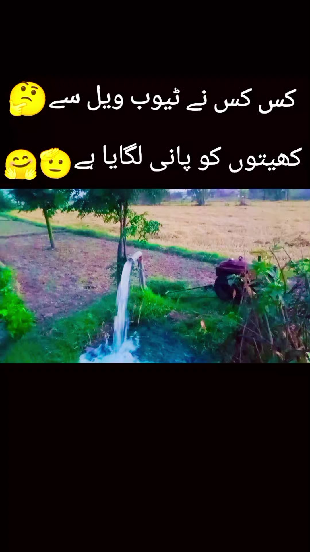 @Rana Anas9737