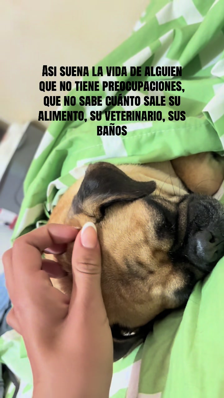 @🦋👑Marce👑🦋