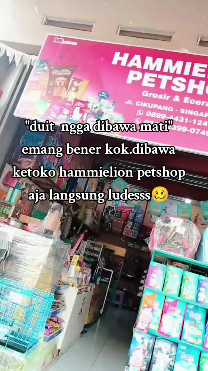 @Grosir Hammielion Petshop