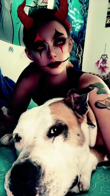 @M&Eacute;LODY 🐶🐱❤️