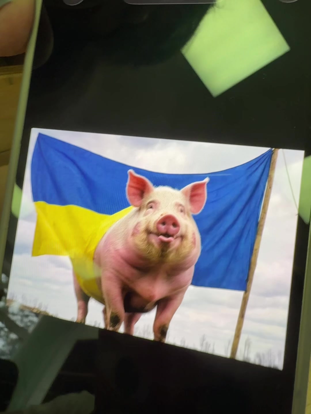 @мс полинк