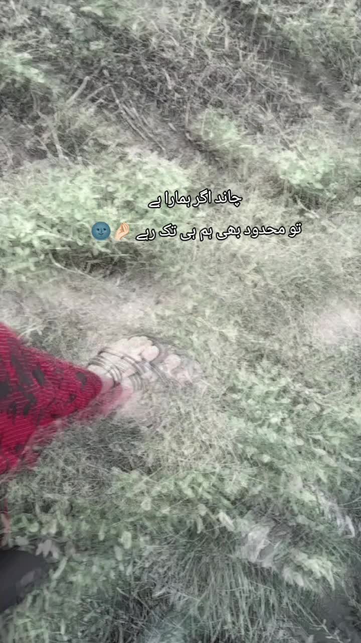 @ℂ𝕙𝕦𝕥𝕜𝕚🌸🦢👀