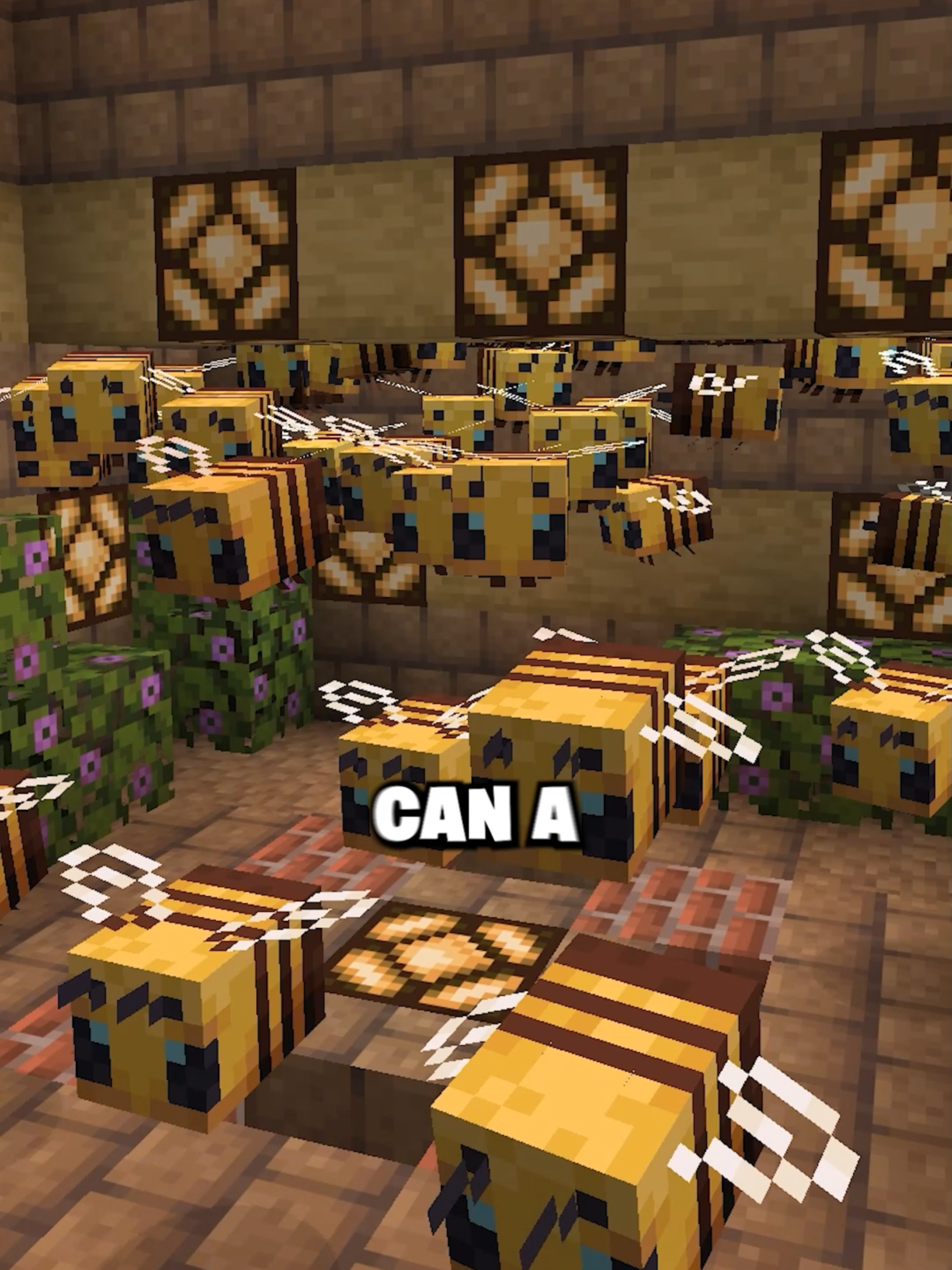 @RavvixSMP