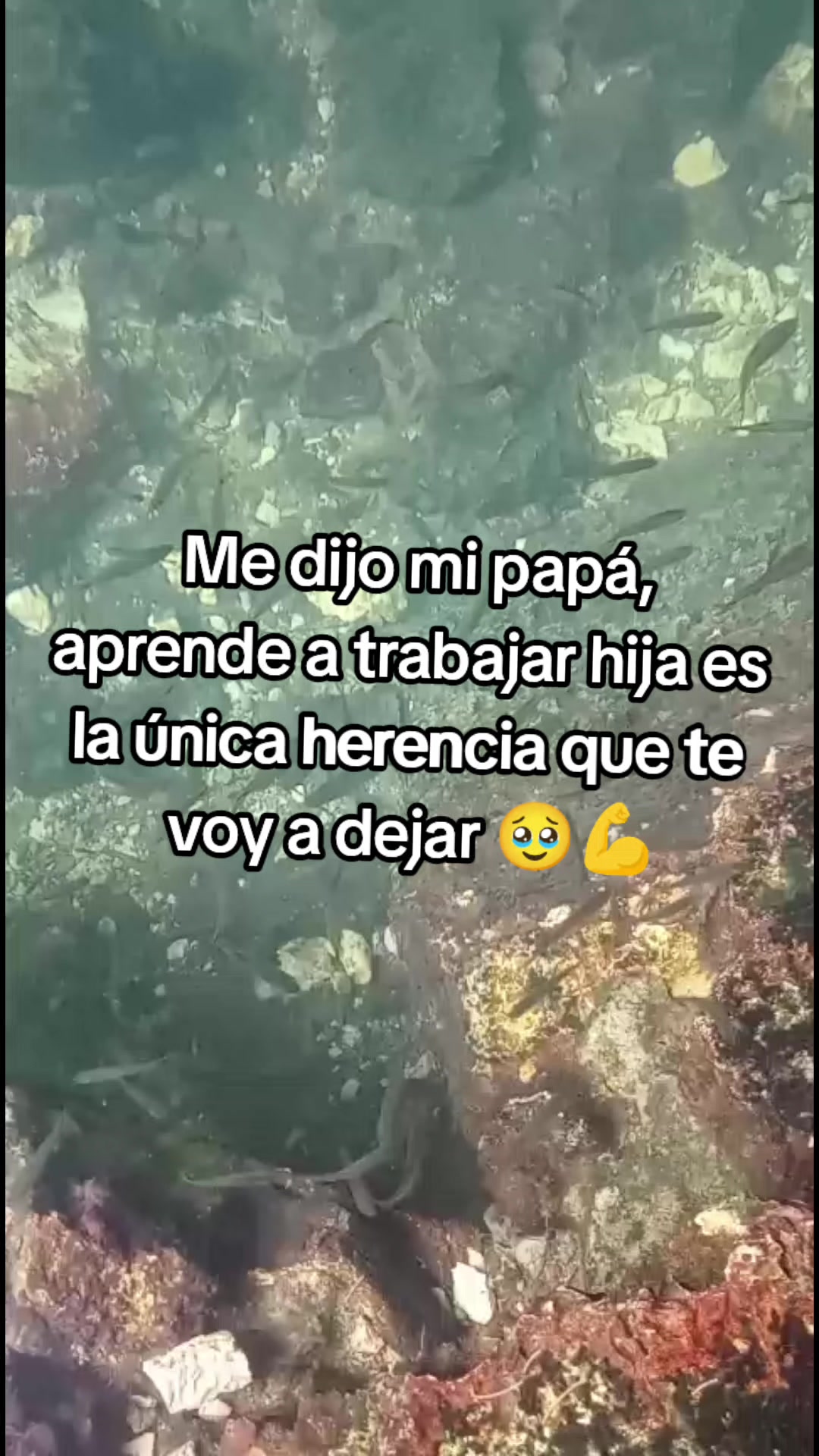 @chaparrita de 🥰 M🥰