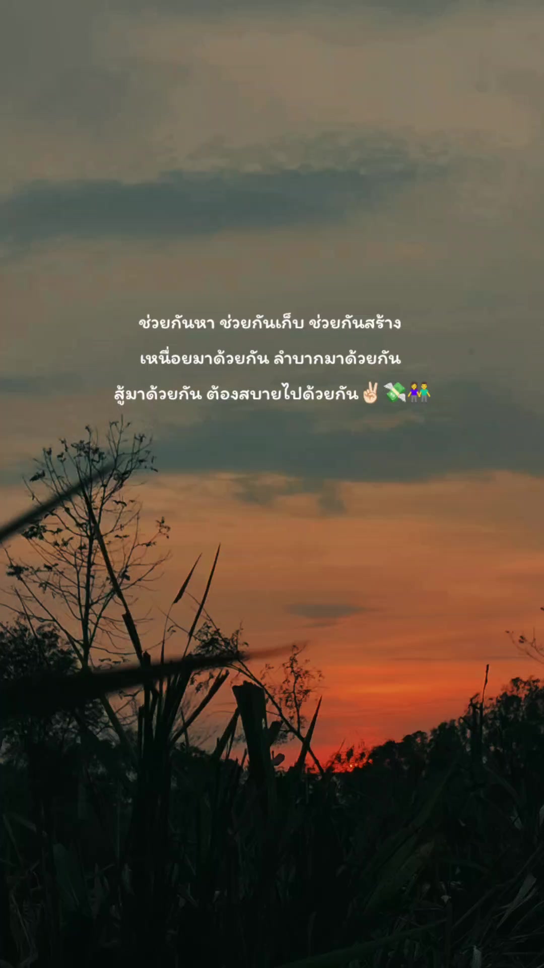 @pipat🌻🤍51.7K