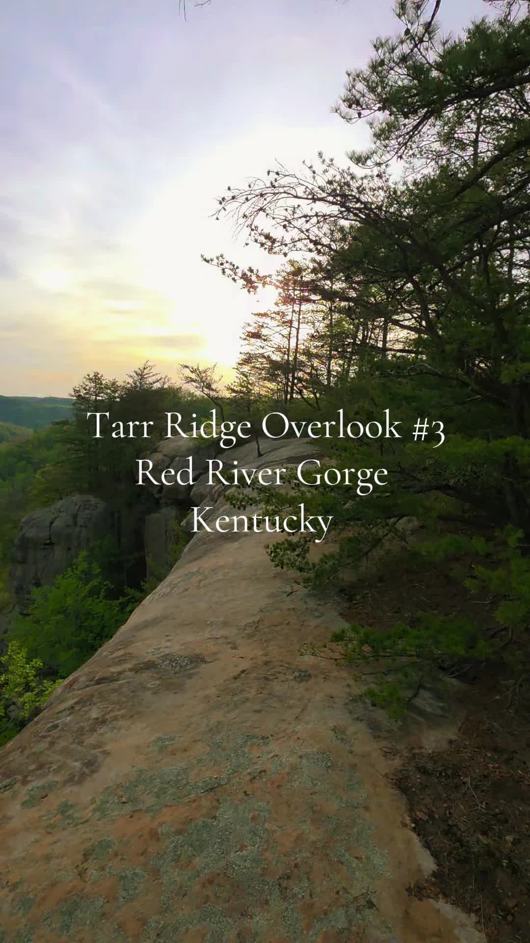 @Kentucky_simpleman1994