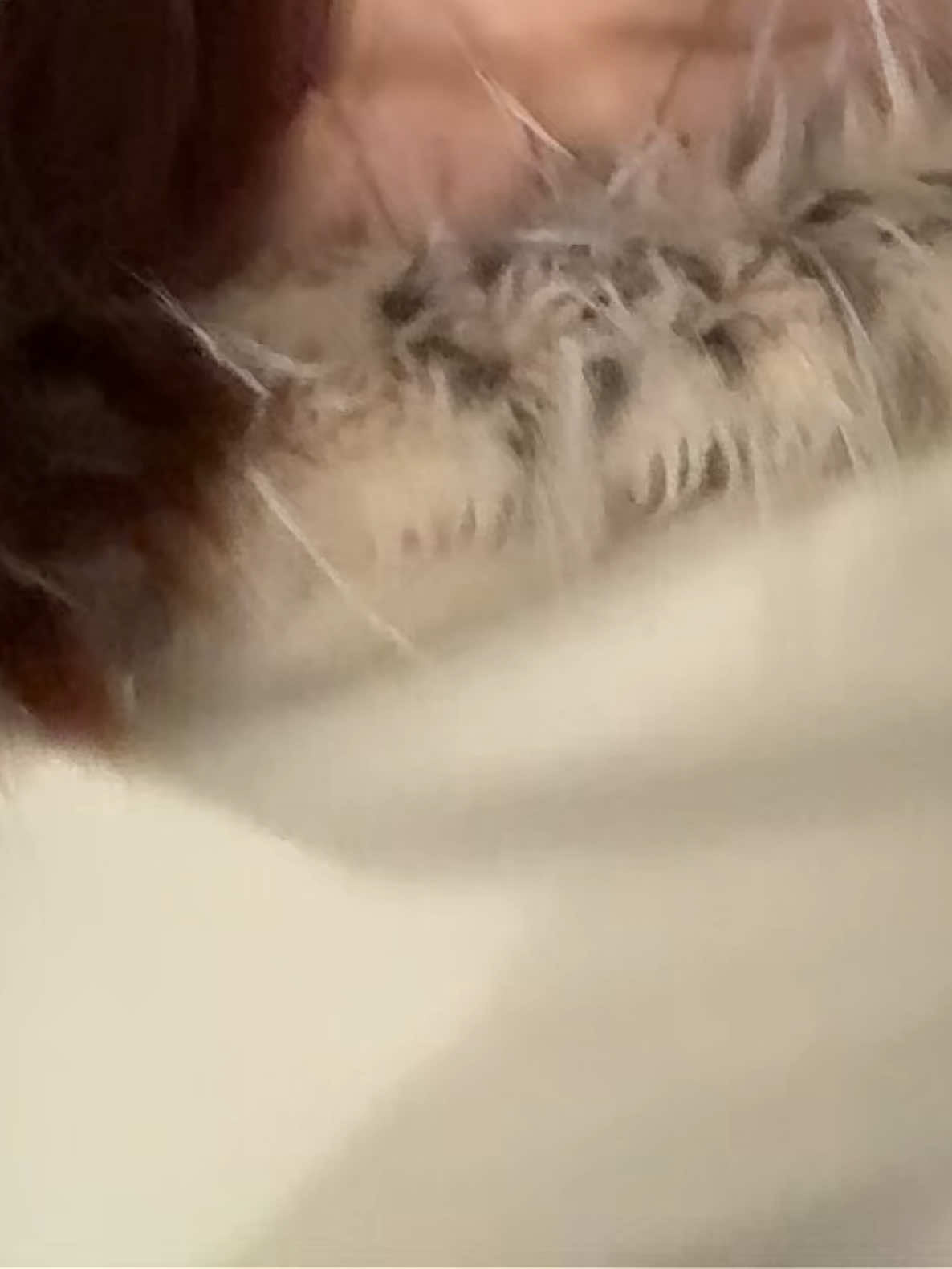 @angelique_.🦭