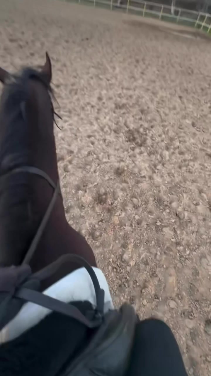 @المهره🦌