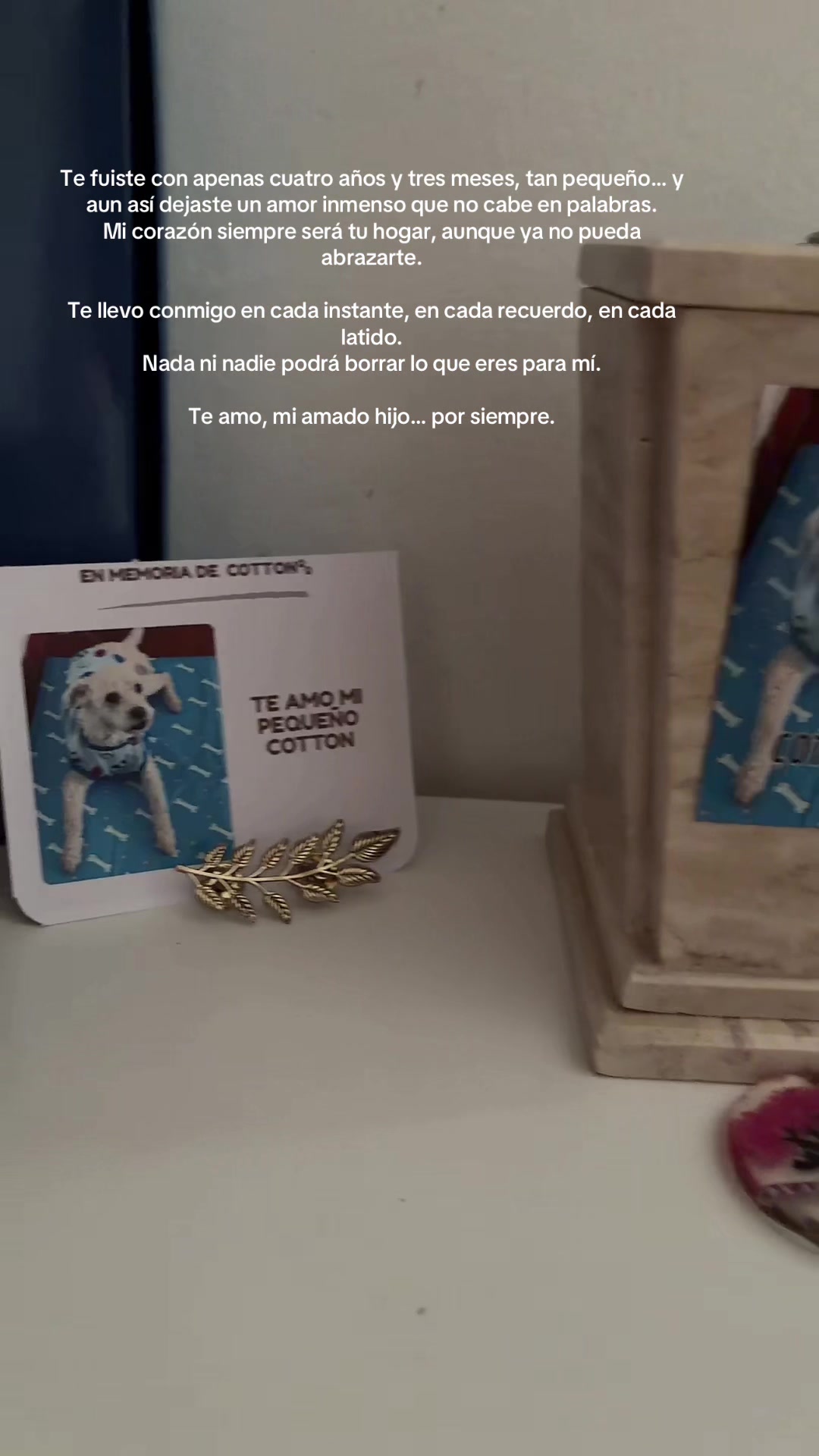 @Diana Fernandez