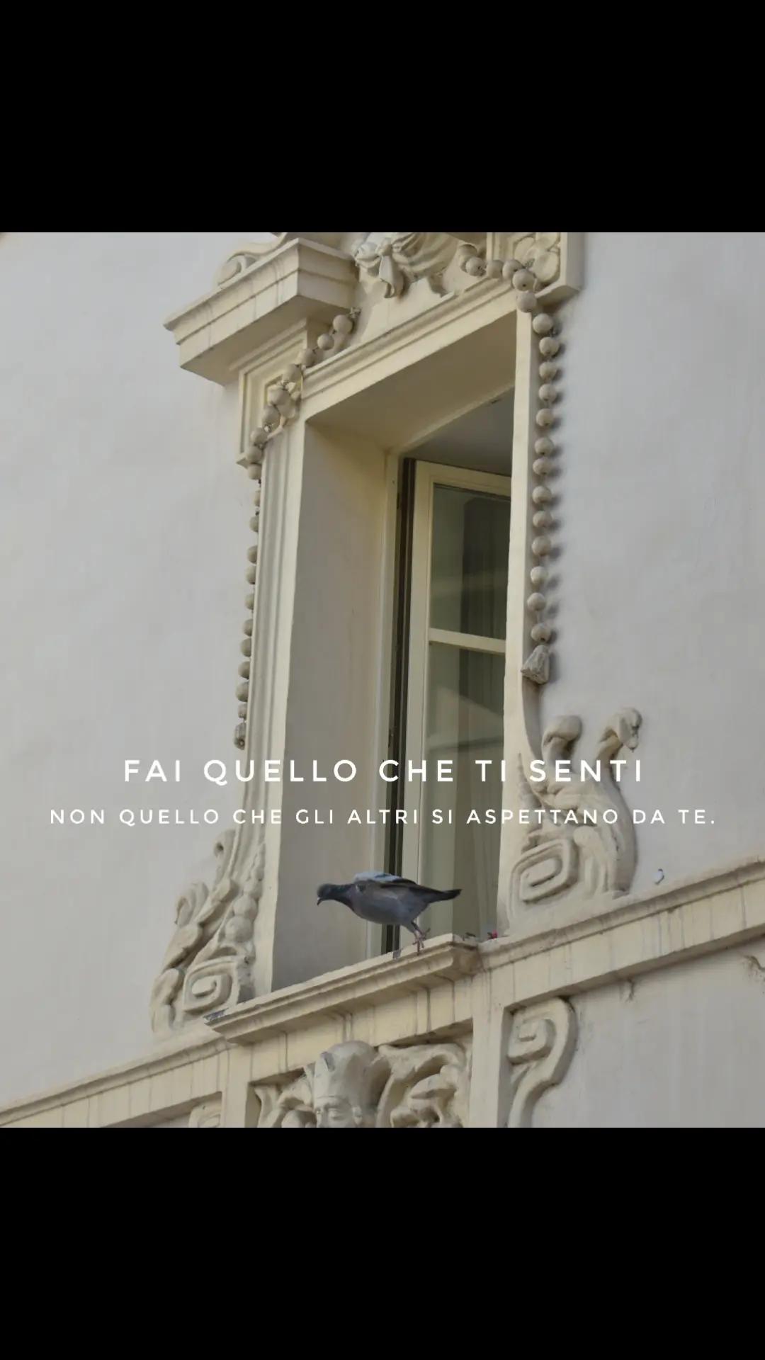 @Cesario, Food & Travel Creator