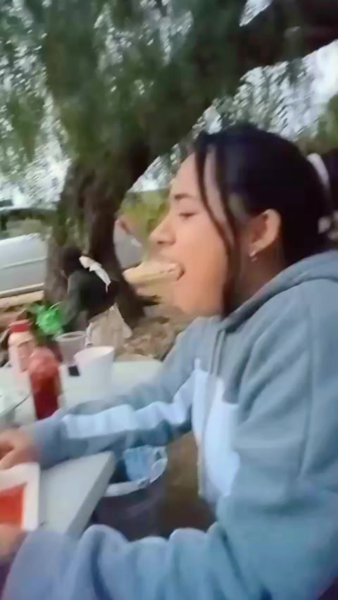 @&ordm; 🎀  𝐸𝓋𝓂𝒶𝓇