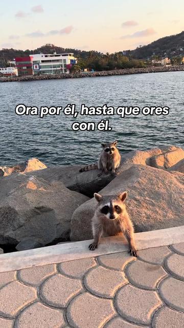 @Matrimonio Cat&oacute;lico ❤️✝️