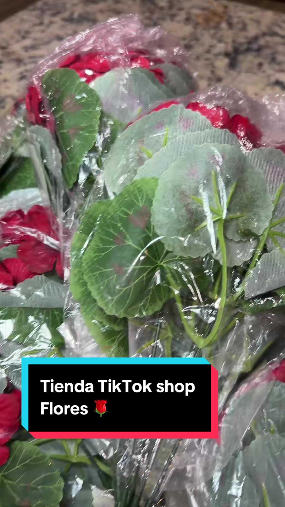 @dalinda.benitez0💔❤️&zwj;🔥🧑&zwj;🍳💙