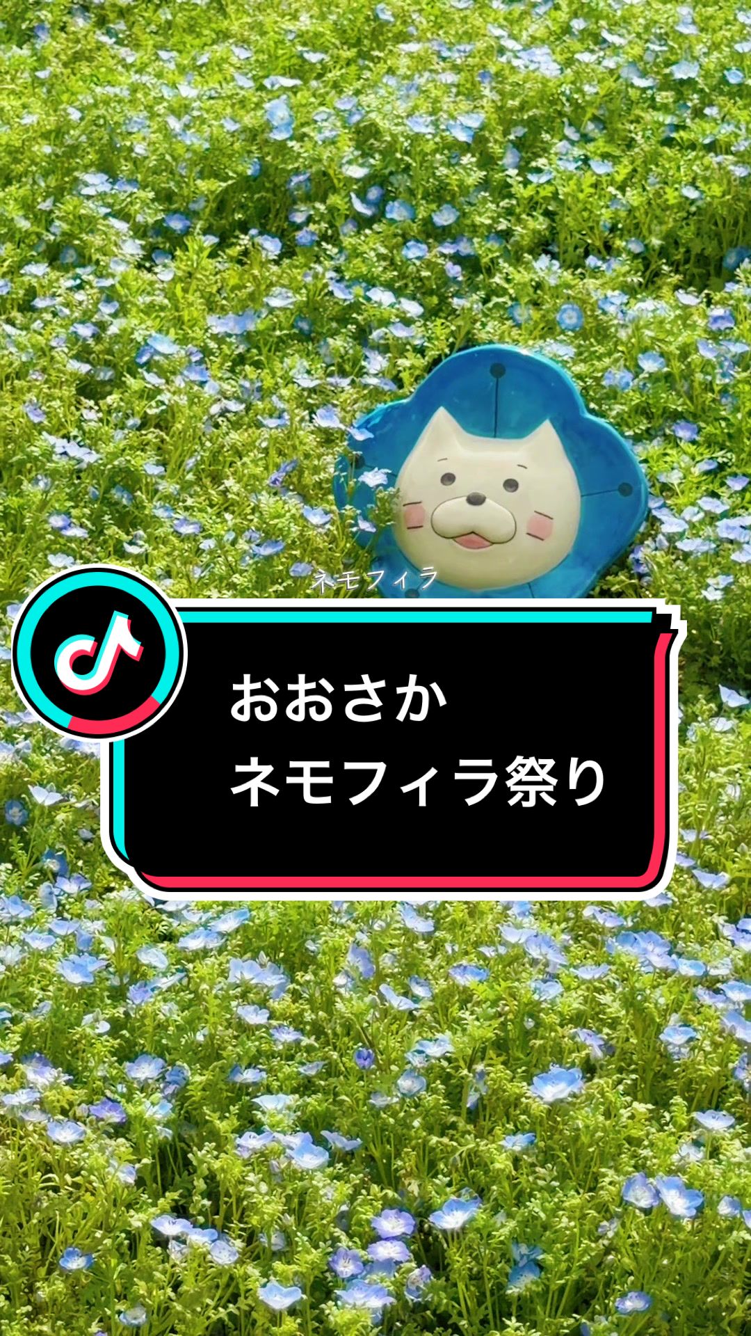 @fumi📸3776🖼️