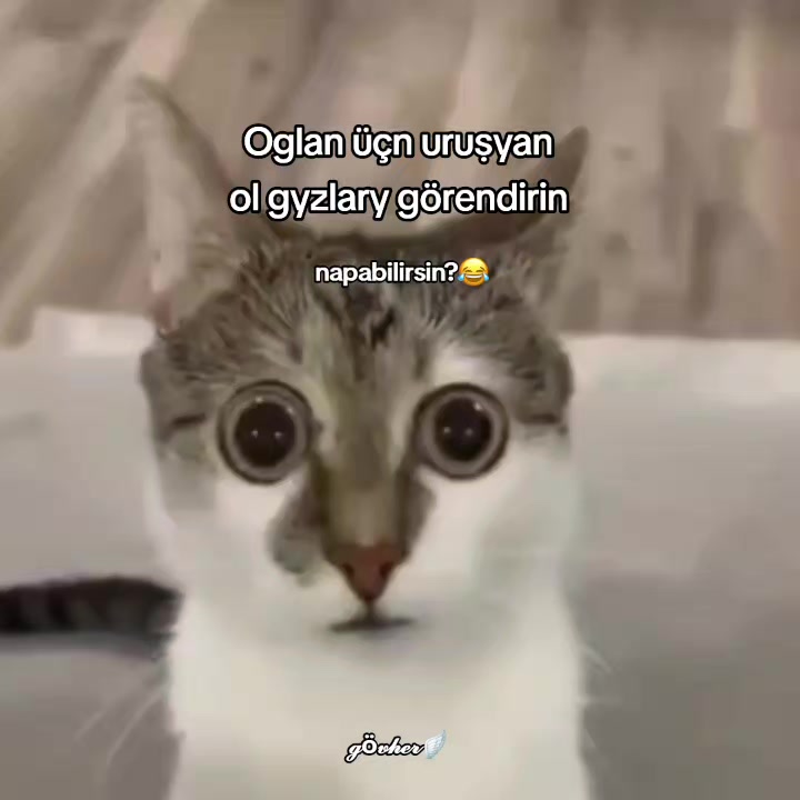 @𝓰&ouml;𝓿𝓱𝓮𝓻🪽