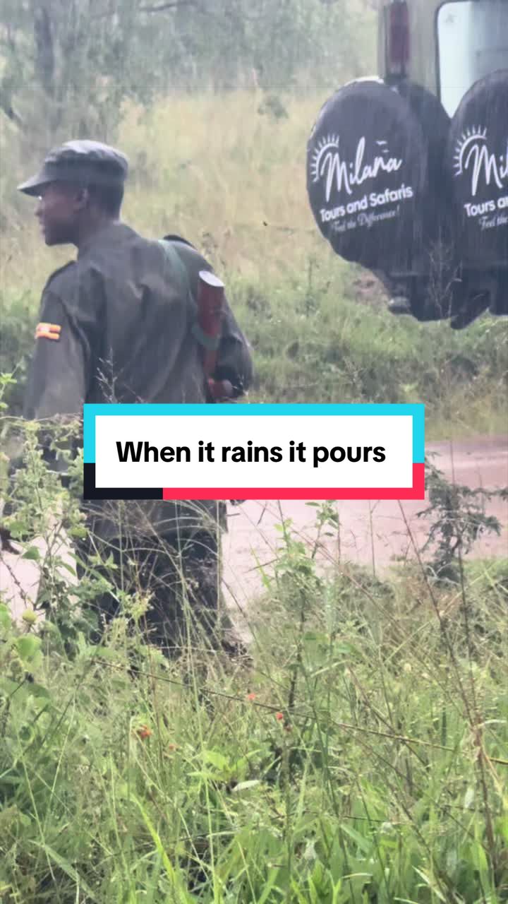 @Milana Tours and Safaris