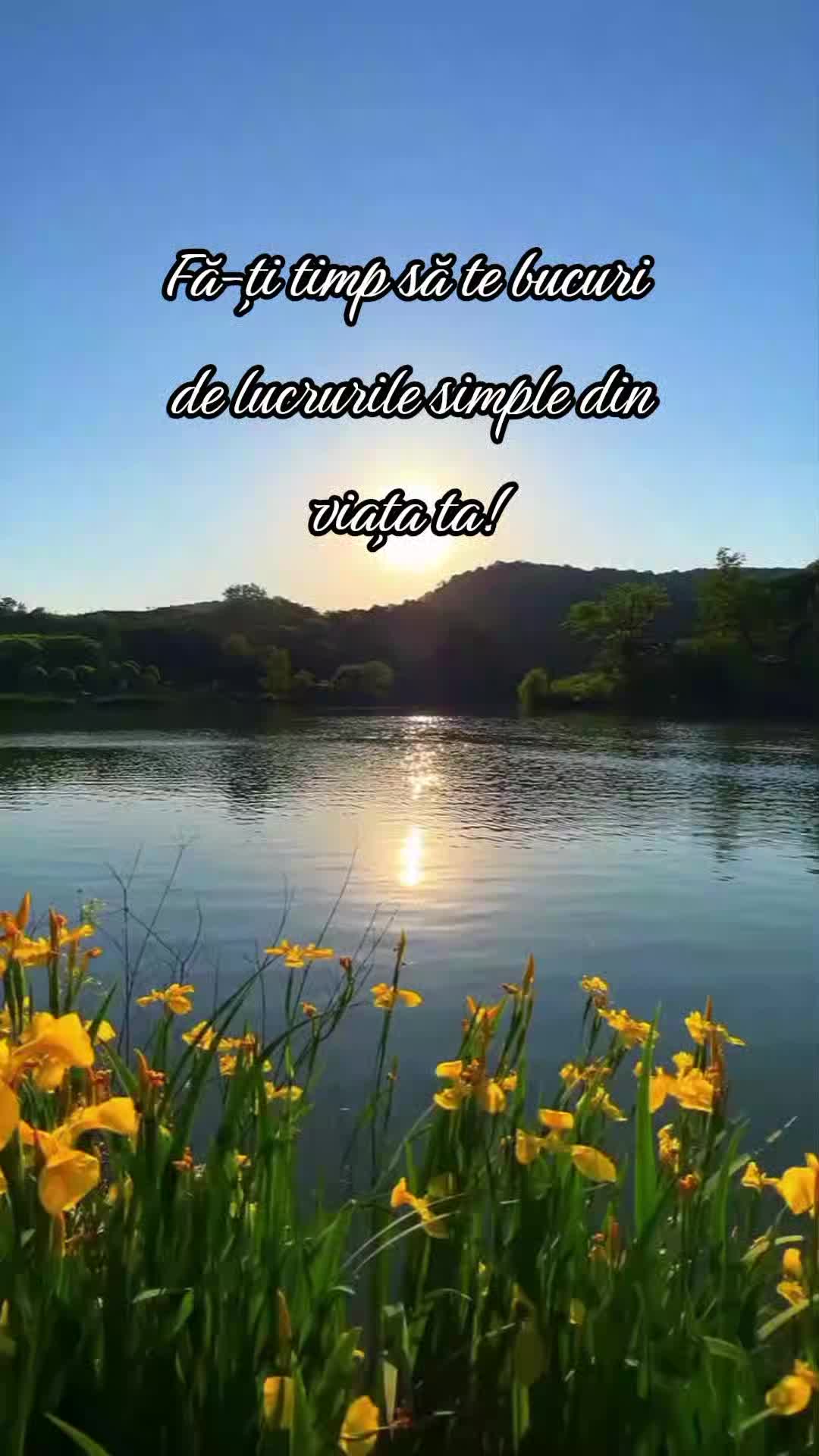 @forest.girl.melodies