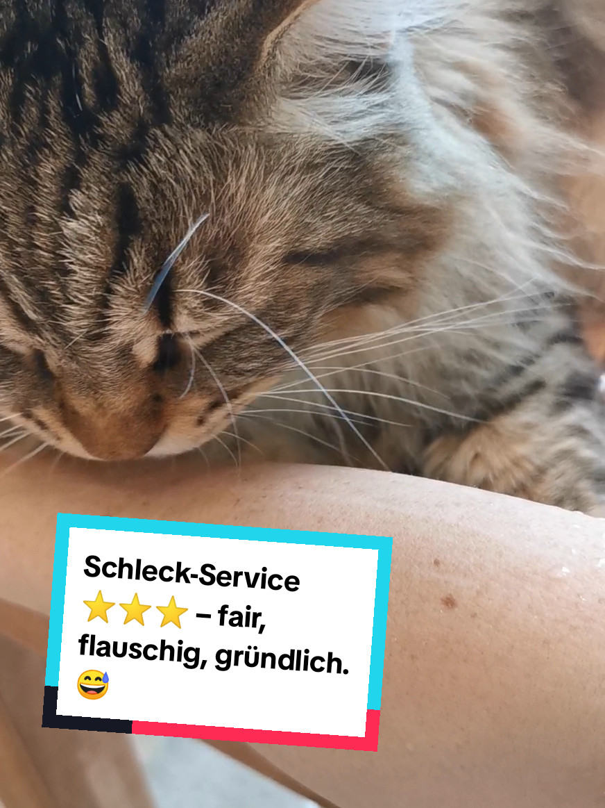 @animalslover