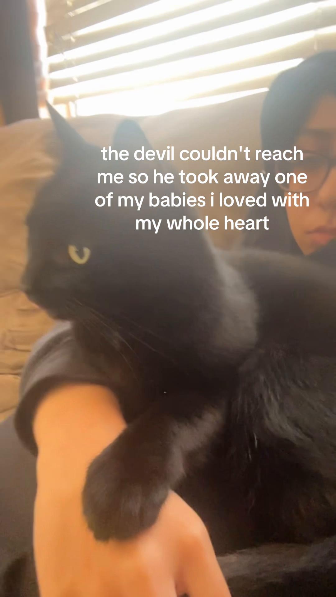 @Bri🎀