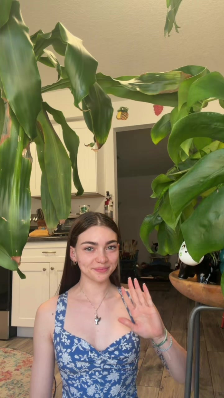 @mj
