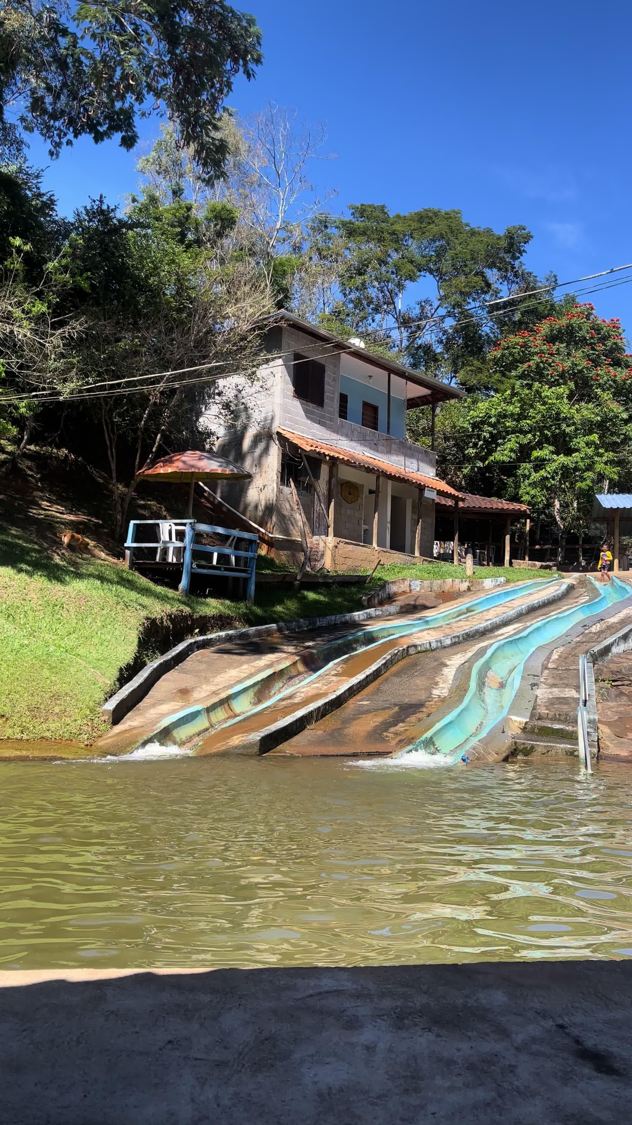 @Nicolli Gabrielli