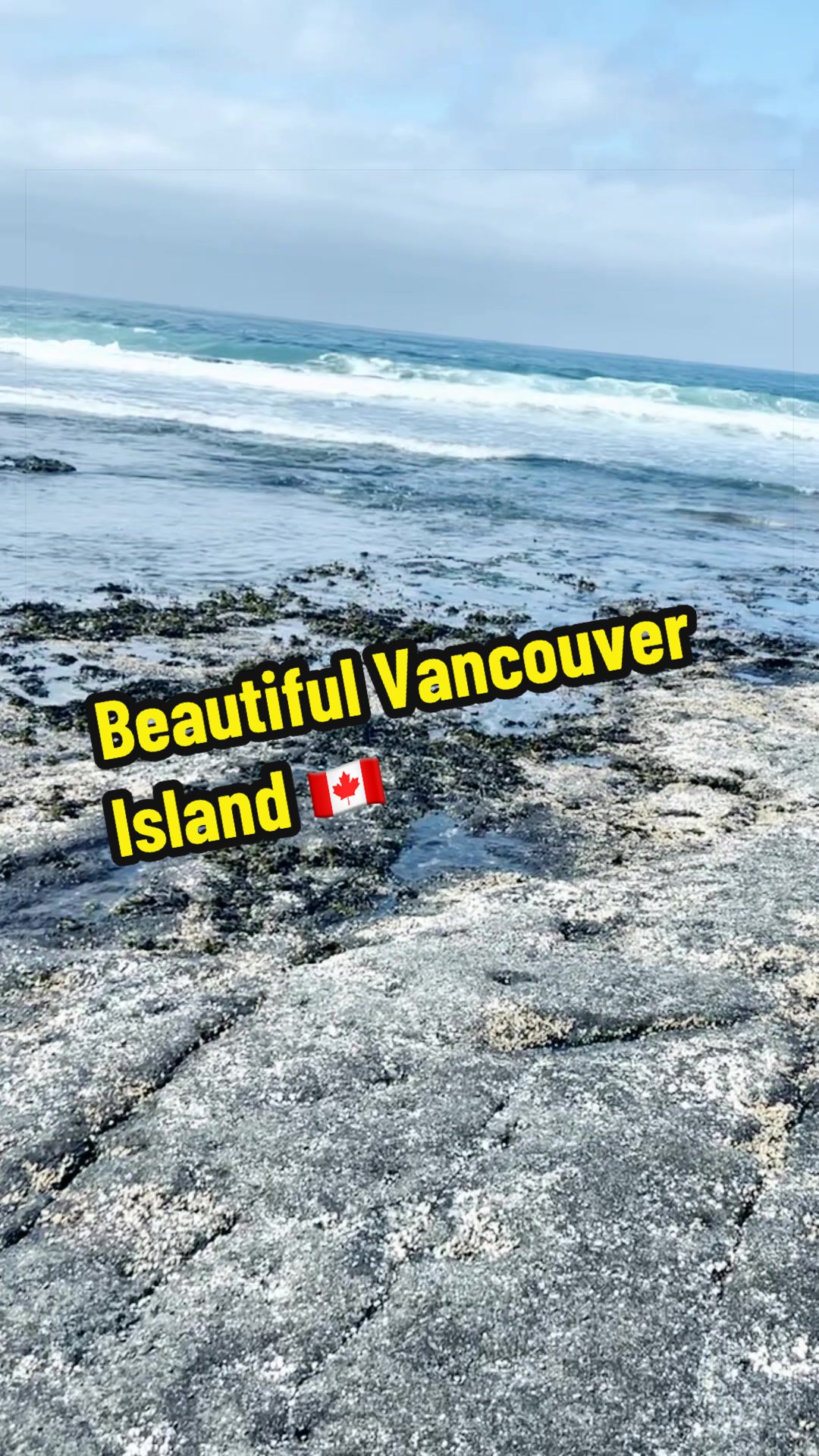 @🇨🇦BlazzinPinkTaco❌💨🌿