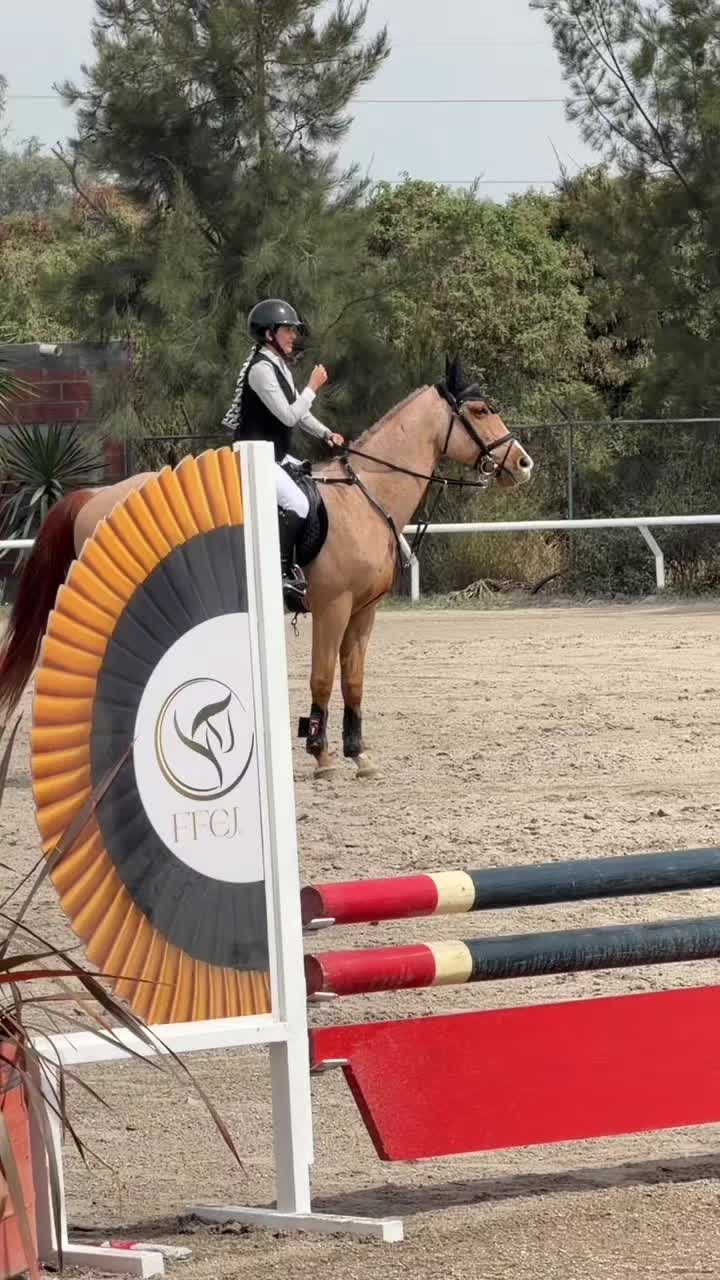 @Desy🐴