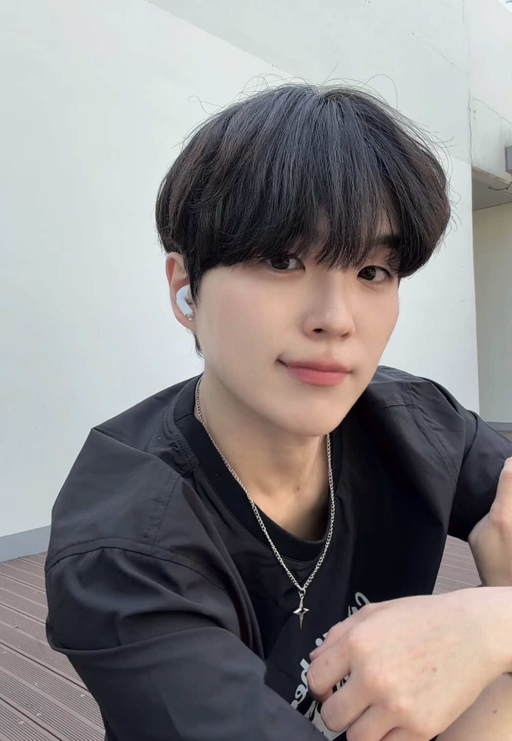 @디.씨.엘
