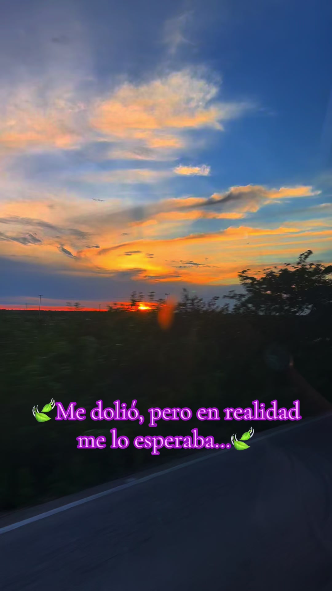 @Sara PL