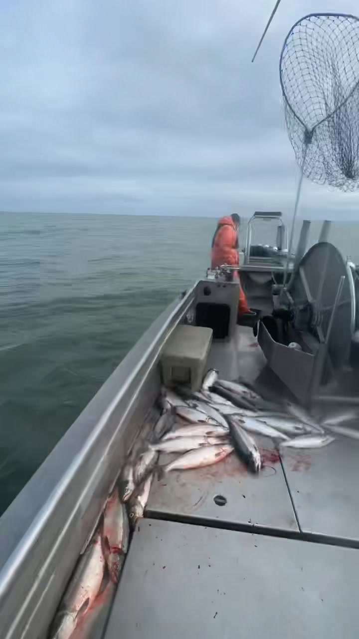 @Lavon Gall